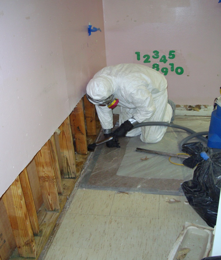 Fayetteville Mold Remediation