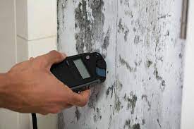 mold detection and remediation in Fayetteville