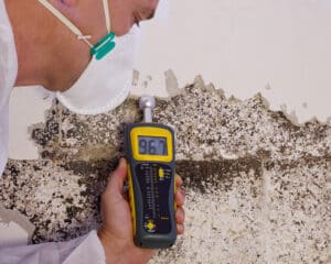 mold detection in Fayetteville