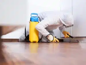 Fayetteville Mold Remediation 