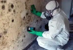 Fayetteville NC mold testing and cleanup